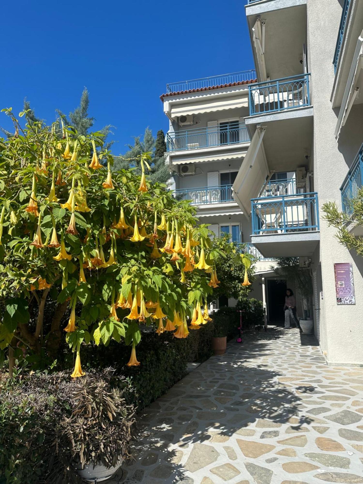 Drossinos Studios Poros Town Exterior foto